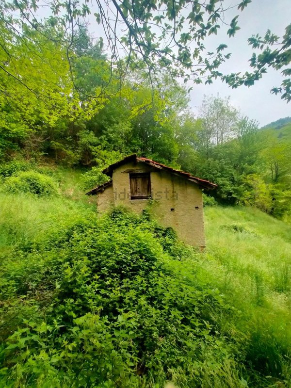 appartamento in vendita a Bormida