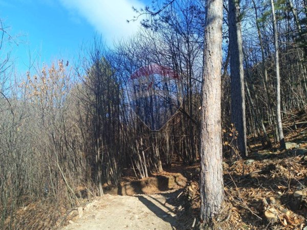 terreno agricolo in vendita a Bormida