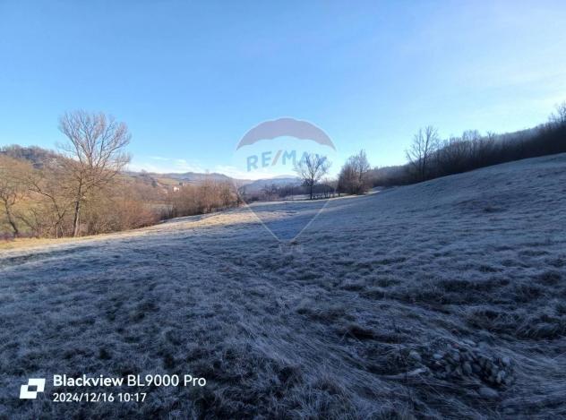 esavano in vendita a Cairo Montenotte