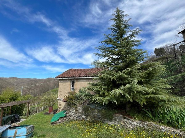 casale in vendita a Cairo Montenotte