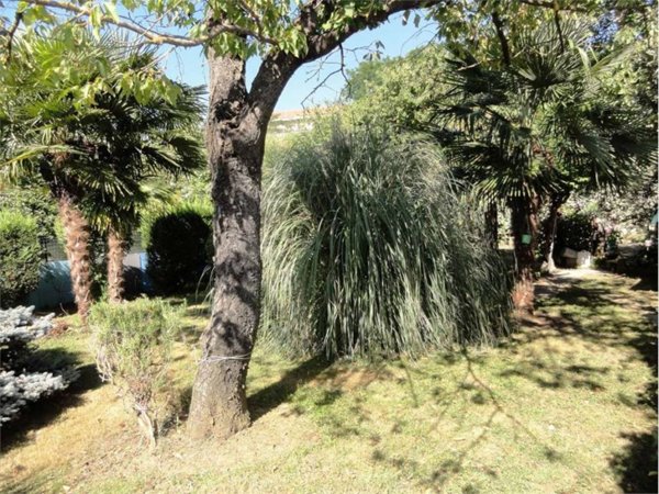 terreno agricolo in vendita a Cairo Montenotte