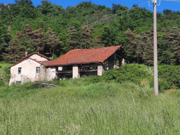 immagine annuncio 0 di 13