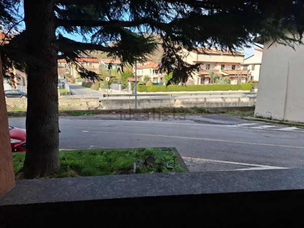 immagine annuncio 0 di 1