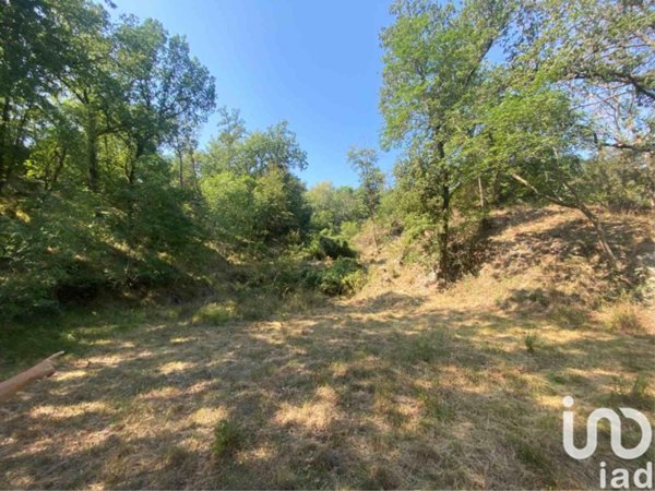 terreno agricolo in vendita a Calice Ligure