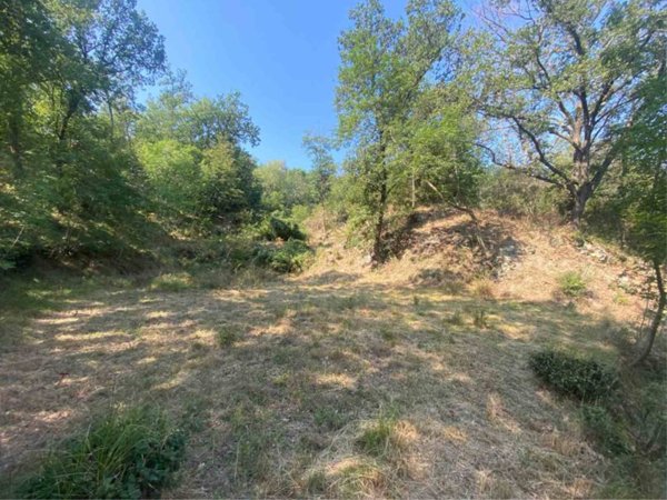 terreno agricolo in vendita a Calice Ligure