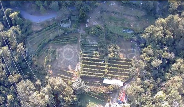 terreno agricolo in vendita a Calice Ligure