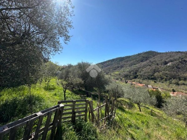 terreno agricolo in vendita a Calice Ligure