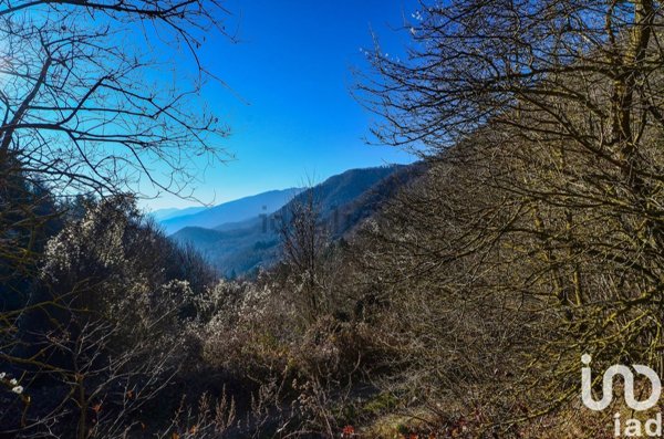 pentavano in vendita a Calizzano