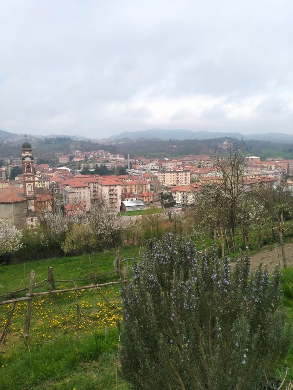 appartamento in vendita a Carcare