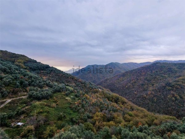 casa semindipendente in vendita a Casanova Lerrone in zona Vellego