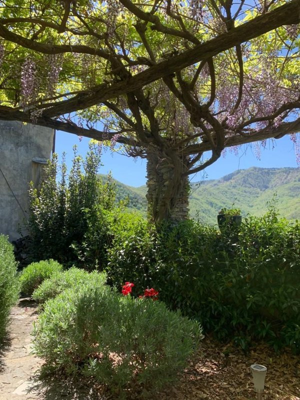casa indipendente in vendita a Casanova Lerrone