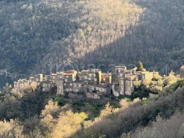 appartamento in vendita a Castelbianco in zona Oresine