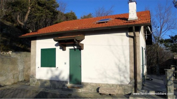 casa indipendente in vendita a Castelvecchio di Rocca Barbena