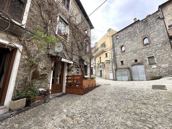 casa indipendente in vendita a Castelvecchio di Rocca Barbena