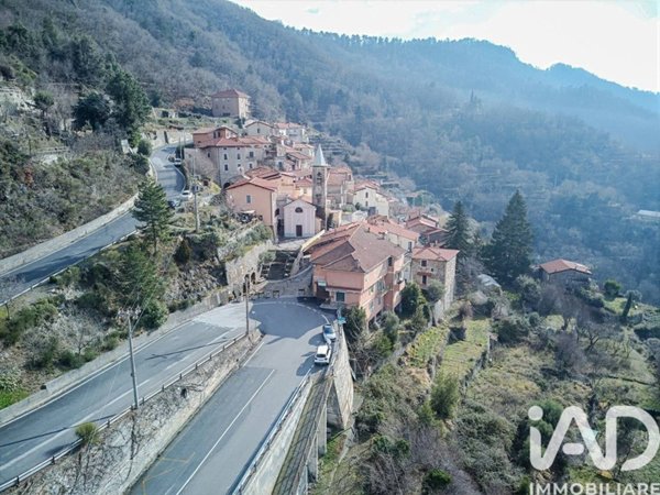 casa indipendente in vendita a Castelvecchio di Rocca Barbena in zona Vecersio