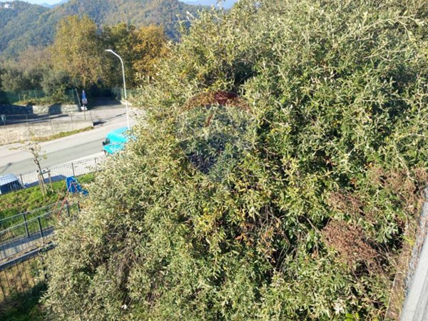 terreno agricolo in vendita a Celle Ligure