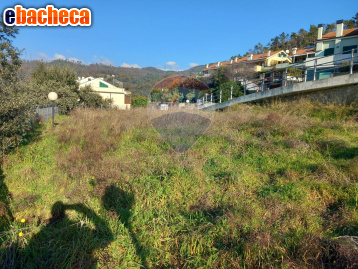 terreno agricolo in vendita a Celle Ligure