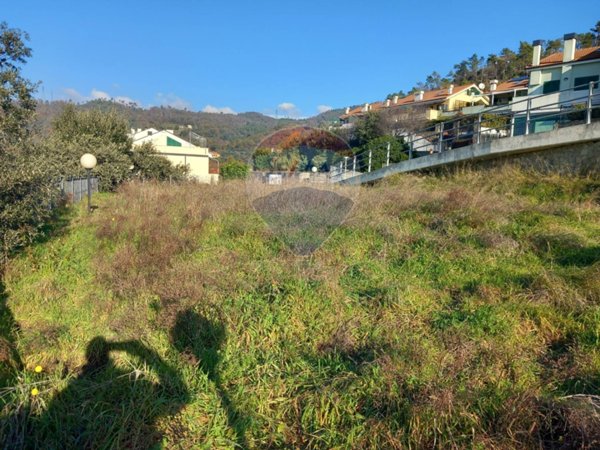 terreno agricolo in vendita a Celle Ligure