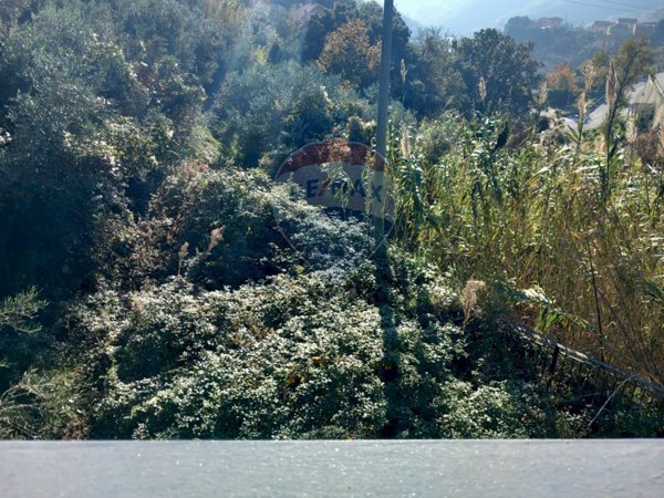 terreno agricolo in vendita a Celle Ligure