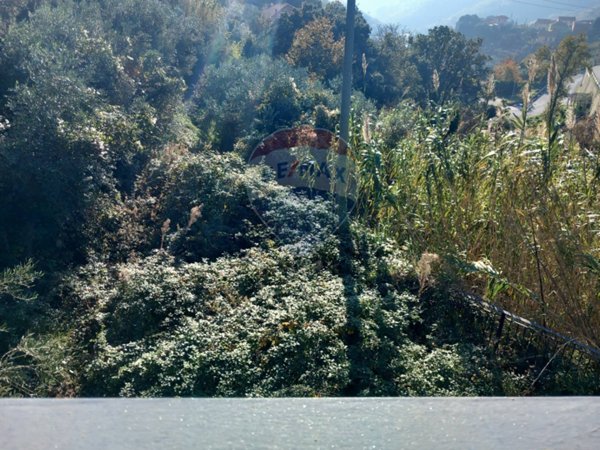 terreno agricolo in vendita a Celle Ligure
