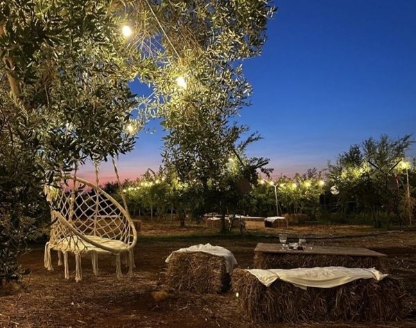 terreno agricolo in vendita a Celle Ligure in zona Pecorile