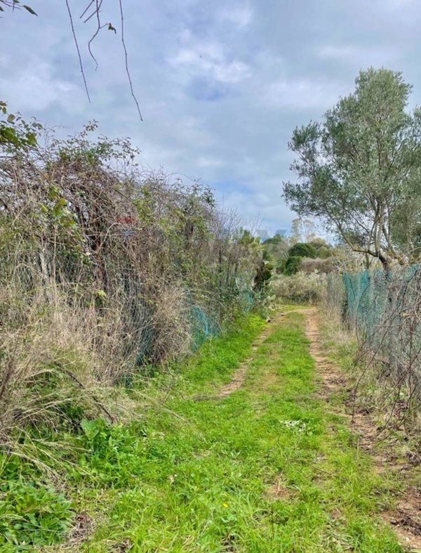 terreno agricolo in vendita a Celle Ligure in zona Costa