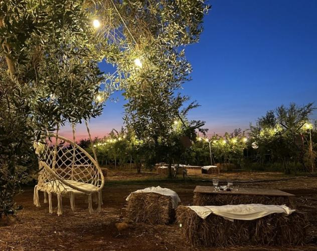 terreno agricolo in vendita a Celle Ligure in zona Pecorile