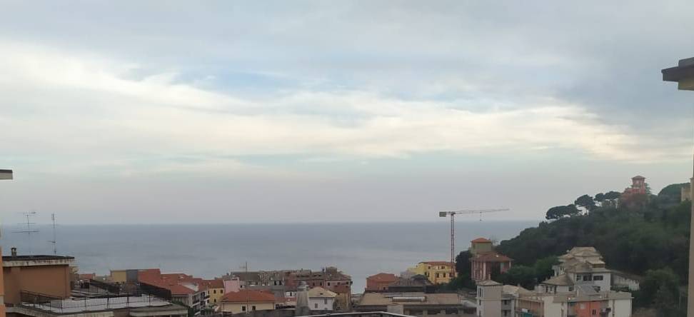 appartamento in vendita a Celle Ligure in zona Pecorile
