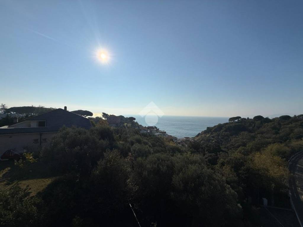 casa indipendente in vendita a Celle Ligure in zona Pecorile