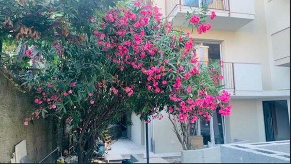 appartamento in vendita a Celle Ligure