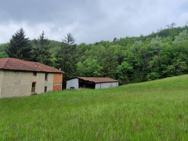 immagine annuncio 0 di 1