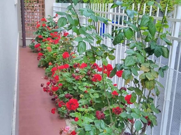 appartamento in vendita a Ceriale