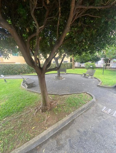 appartamento in vendita a Ceriale