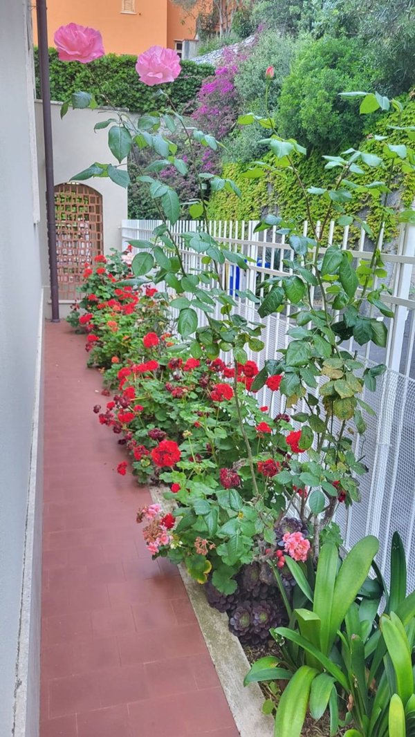 appartamento in vendita a Ceriale