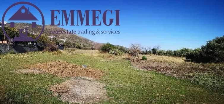 terreno agricolo in vendita a Ceriale