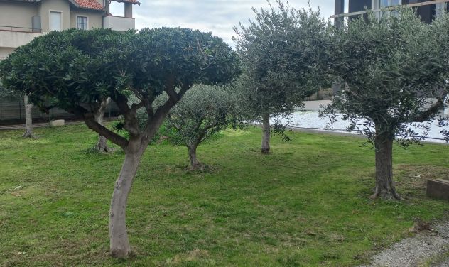 casa indipendente in vendita a Ceriale