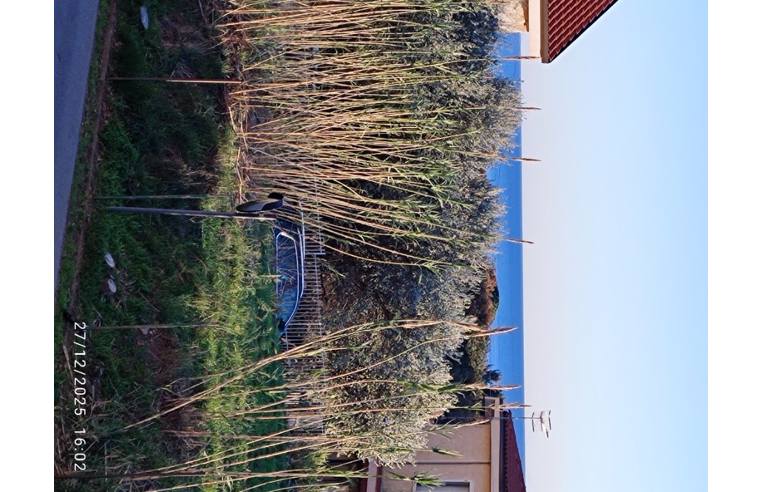 appartamento in vendita a Ceriale