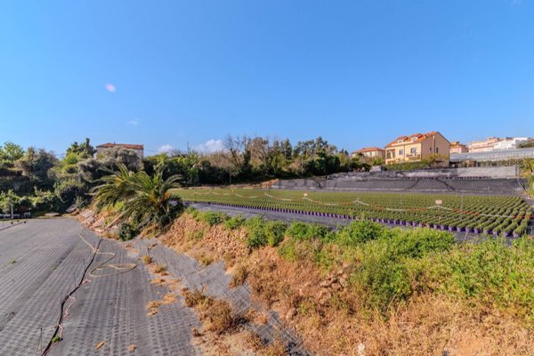terreno agricolo in vendita a Ceriale