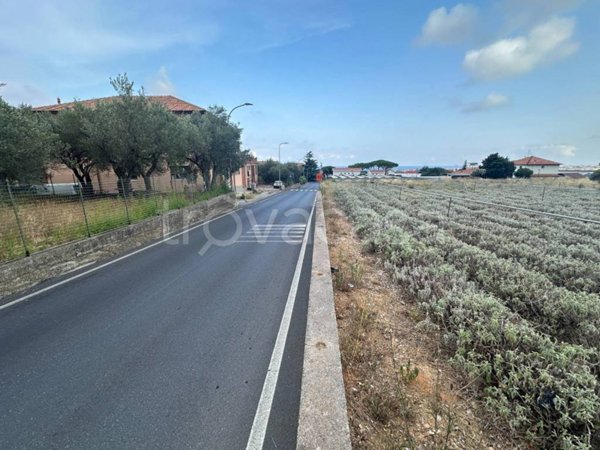 terreno agricolo in vendita a Ceriale in zona Peagna