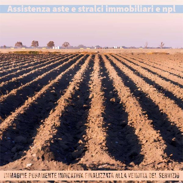 terreno agricolo in vendita a Ceriale in zona Peagna