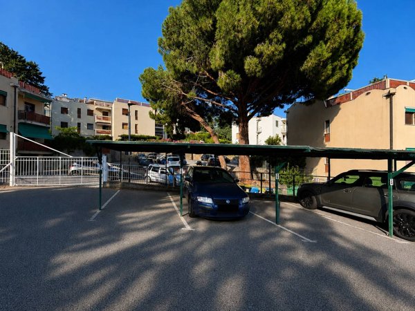box auto in vendita a Ceriale