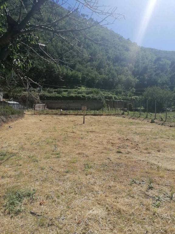 terreno agricolo in vendita a Cisano sul Neva in zona Cenesi