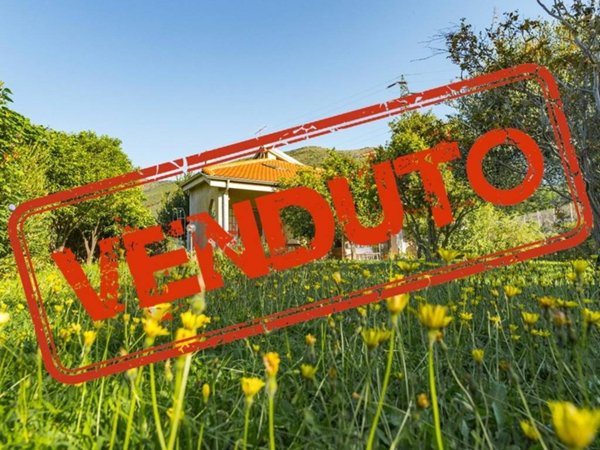 casa indipendente in vendita a Cisano sul Neva in zona Pianboschi