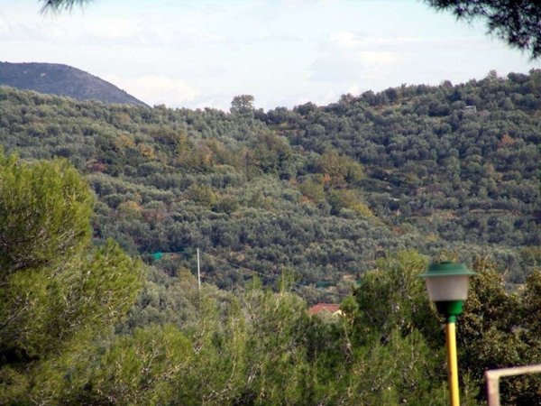terreno agricolo in vendita a Cisano sul Neva in zona Cenesi