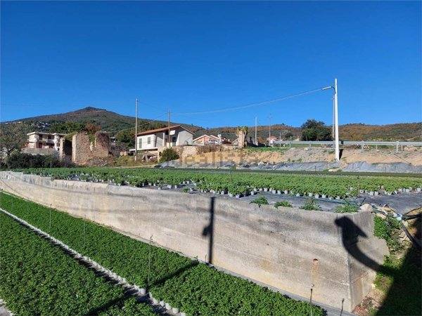 terreno edificabile in vendita a Cisano sul Neva in zona Cenesi