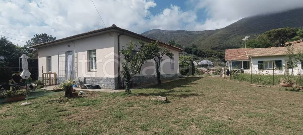 immagine annuncio 0 di 15
