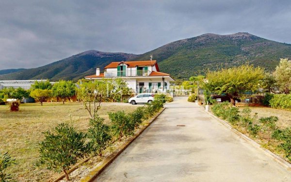 casa indipendente in vendita a Cisano sul Neva in zona Pianboschi