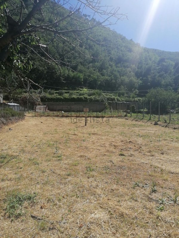 terreno agricolo in vendita a Cisano sul Neva in zona Conscente