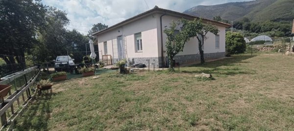 casa indipendente in vendita a Cisano sul Neva