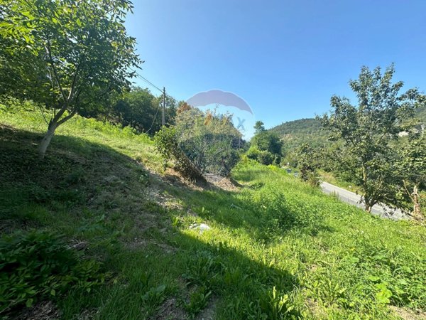 appartamento in vendita a Cosseria